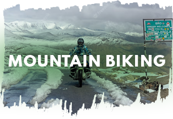 Mountain Biking